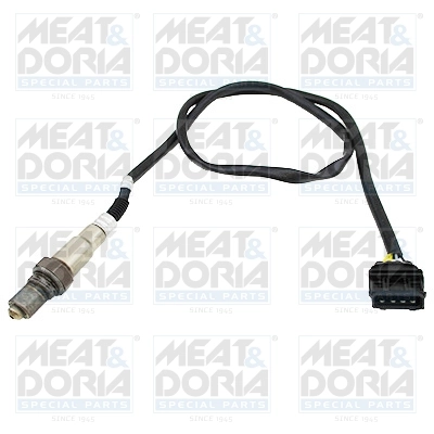 Oxygen Sensor